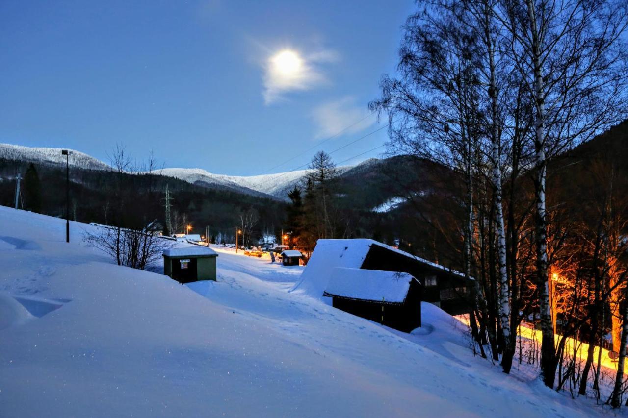 Chata U Vleku Kouty Nad Desnou Лоучна-над-Десноу Экстерьер фото